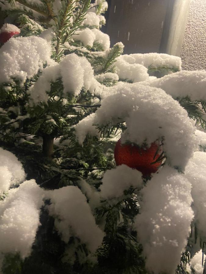 Ferienwohnungen In إرفورت المظهر الخارجي الصورة